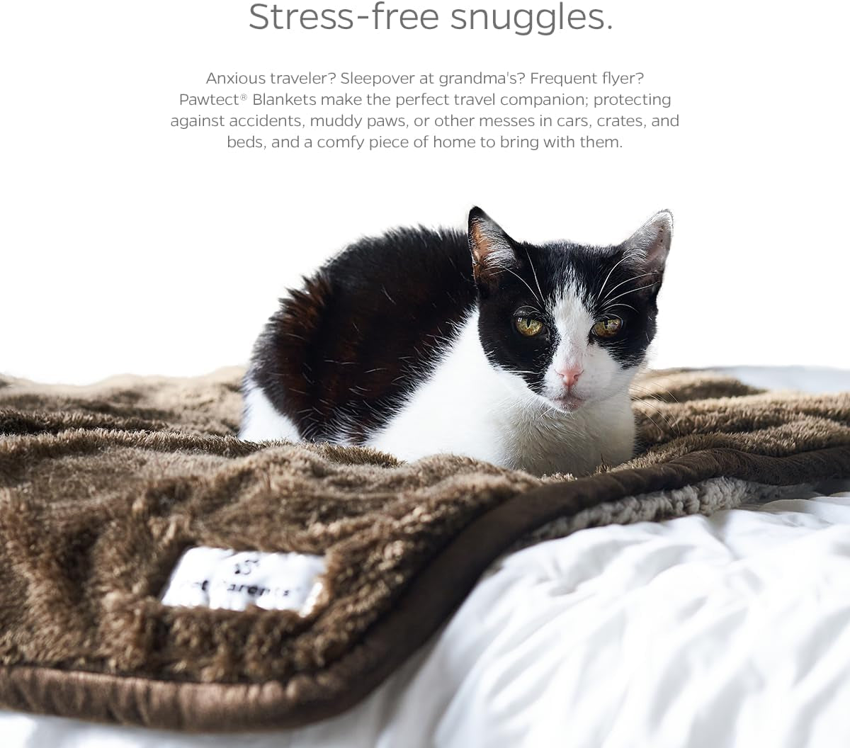 Pawtect Premium Waterproof Cat & Dog Blanket with Wickquick & Sherpup Technology, Puppy & Cat Blanket, Slate 32X40